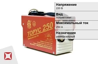 Сварочный аппарат Торус 250 А универсальный в Семее